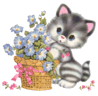Kattmatte